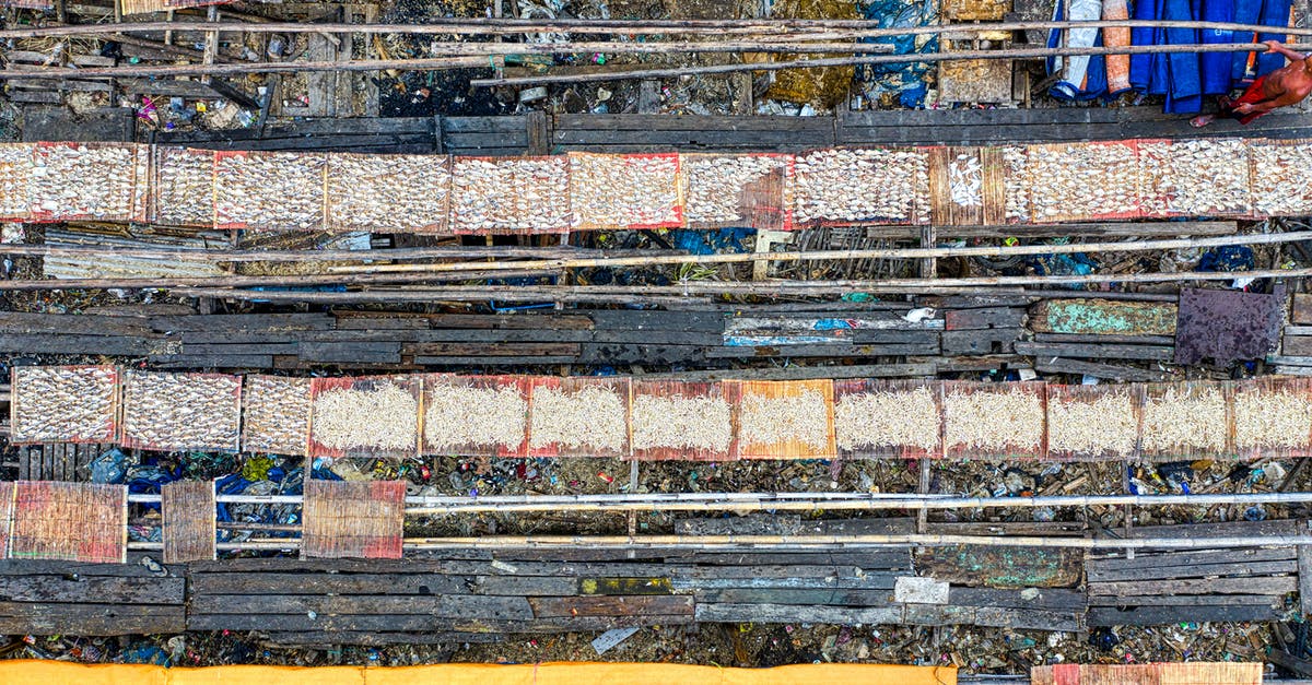 Does the last villager trade allways boost your reputation in village? - Aerial view of big old shabby outdoor fish market located in Jakarta district in daytime Does the last villager trade allways boost your reputation in village? - Aerial view of big old shabby outdoor fish market located in Jakarta district in daytime