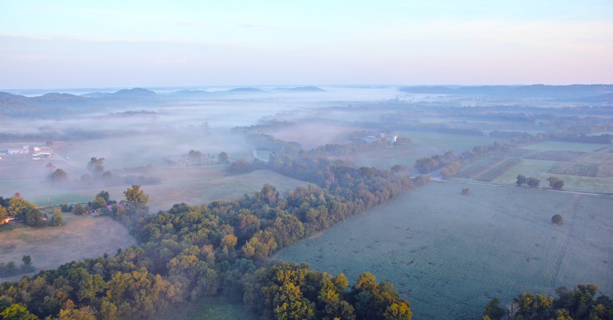 Does the <developermodeon> command in The Forest disable Steam achievements permanently? - Aerial View of Green Trees during Daytime Does the <developermodeon> command in The Forest disable Steam achievements permanently? - Aerial View of Green Trees during Daytime
