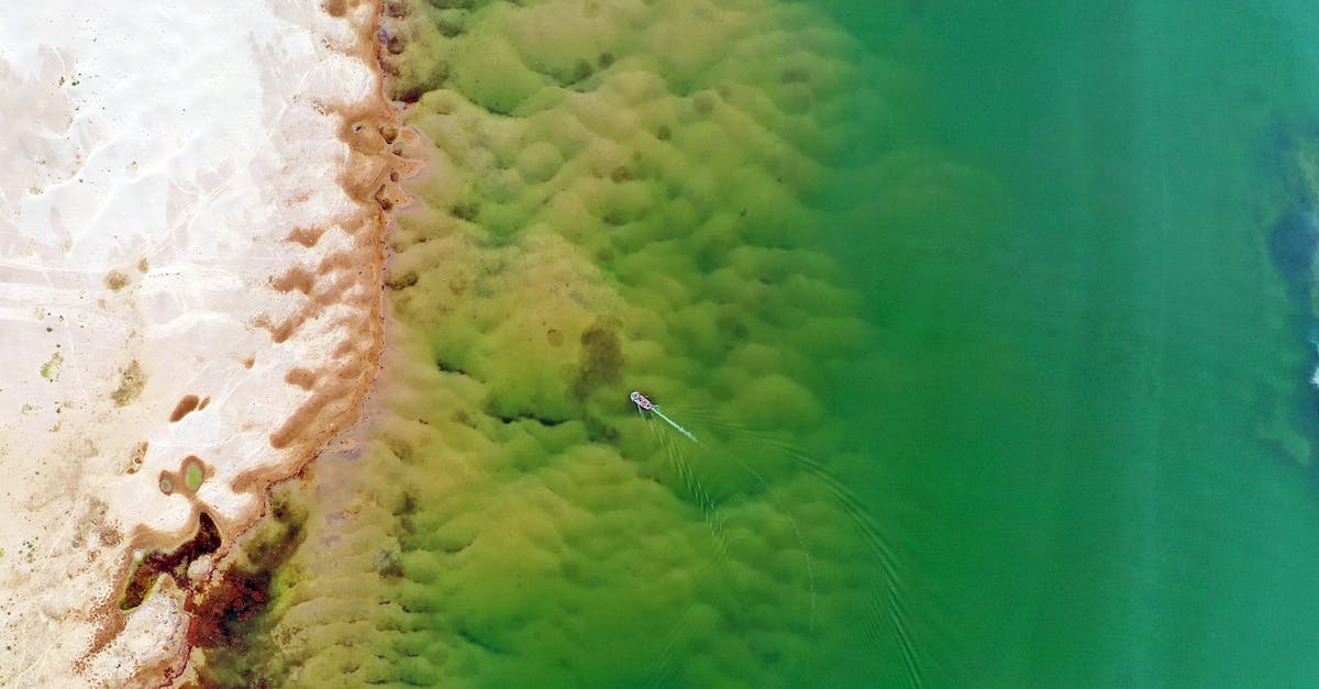 Does the Rune of the Monk's healing bonus stack with Aquatic Benevolence? - Birds-eye-view Photo of Body of Water