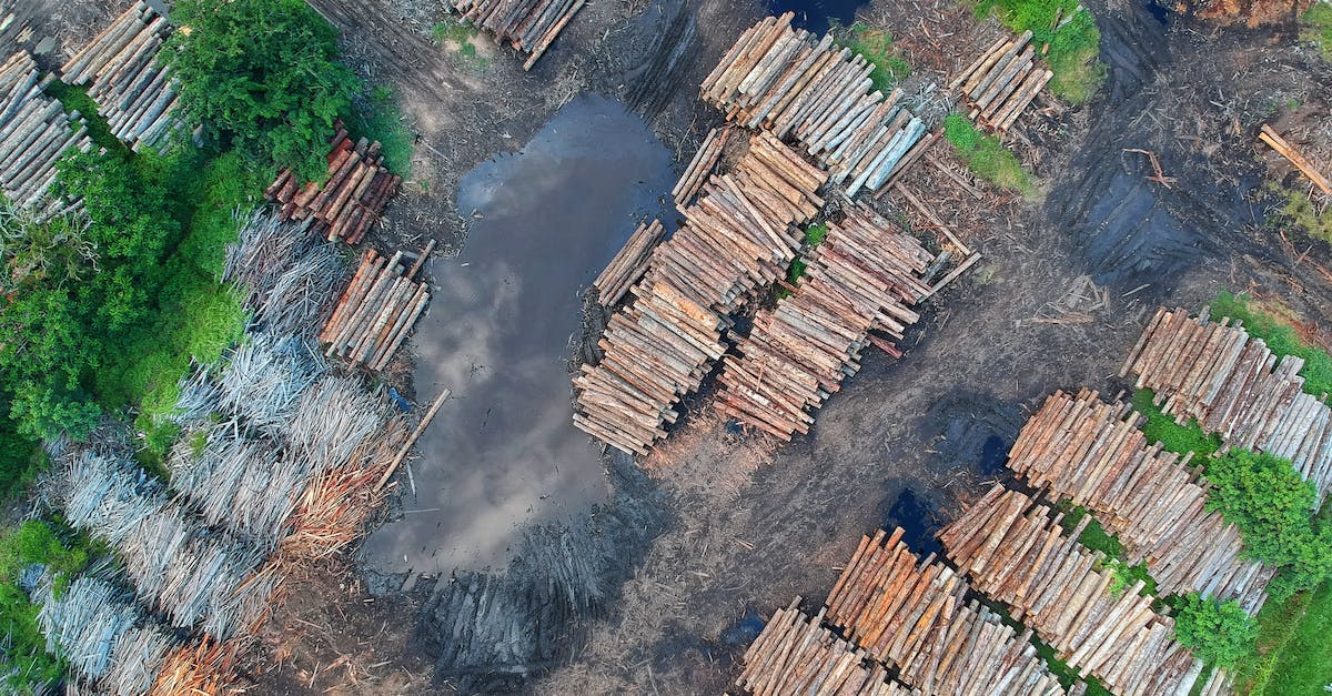 Does the Rune of the Monk's healing bonus stack with Aquatic Benevolence? - Bird's Eye View of Woodpile