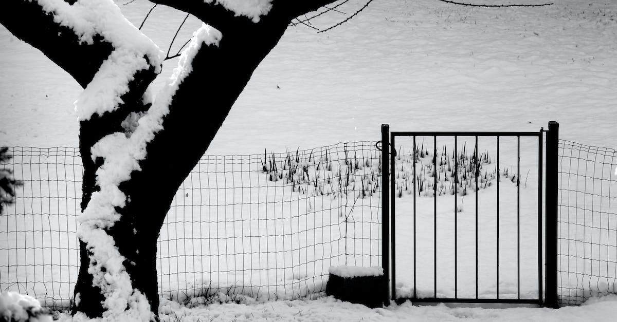 Does the Scythe Gate drain mana when banishing monsters? - Grayscale Photo of a Fence During Winter Does the Scythe Gate drain mana when banishing monsters? - Grayscale Photo of a Fence During Winter