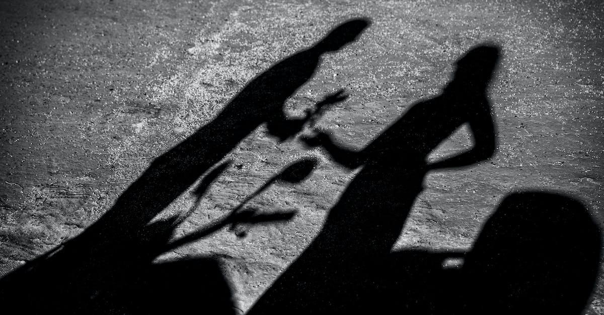 Does the value of the gift I give Nami effect the amount of affection I gain from it? - Black and white of shadow of man giving girlfriend flowers in park in daylight Does the value of the gift I give Nami effect the amount of affection I gain from it? - Black and white of shadow of man giving girlfriend flowers in park in daylight