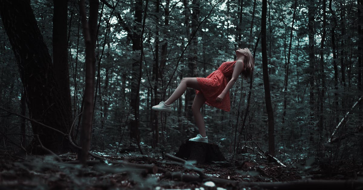 Does the yield of Celastrus Trees Increase with Magic Secateurs and Attas Seeds? - Woman Standing on Brown Tree Trunk Does the yield of Celastrus Trees Increase with Magic Secateurs and Attas Seeds? - Woman Standing on Brown Tree Trunk