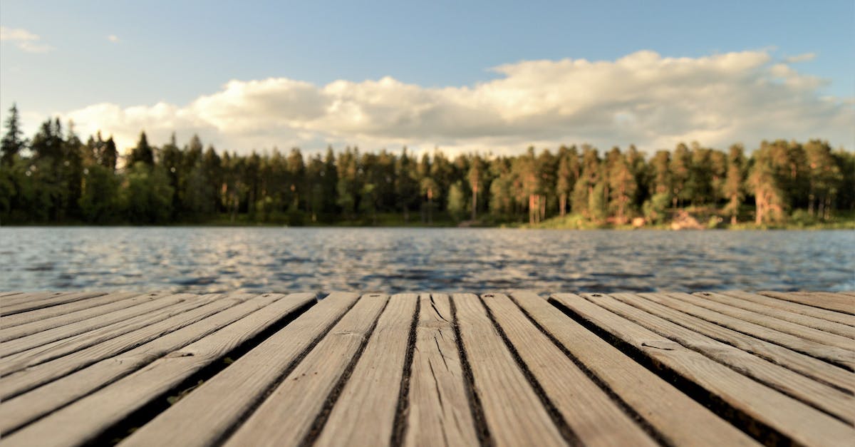 Does this dock work? [closed] - Green Leafed Trees