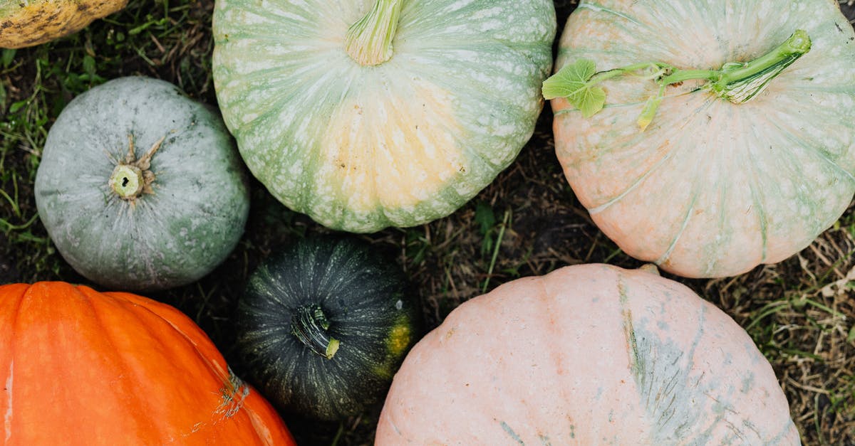 Does this mean the patch took? - Bunch of Ornamental Pumpkins 