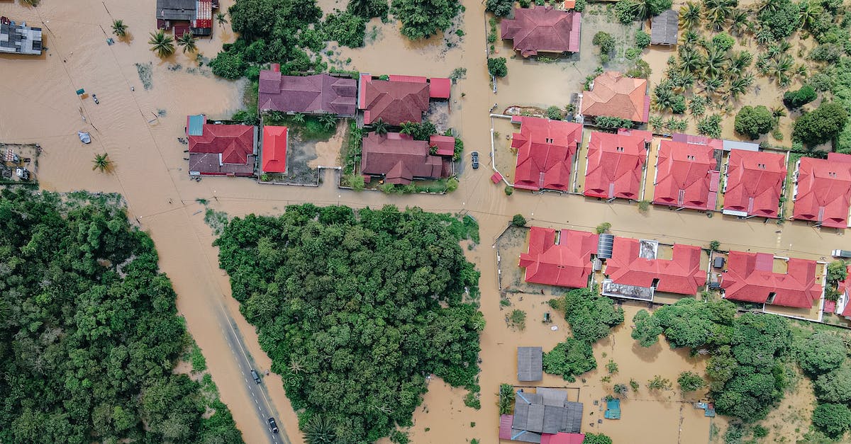 Does Thorns damage trigger Area Damage? - Overhead view of colorful roofs of residential buildings and lush green trees in flooded small village
