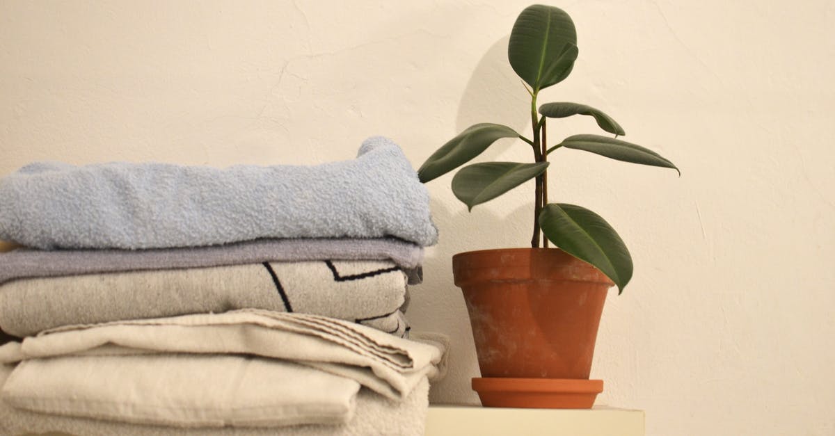 Does vitality regeneration stack? - Potted green ficus arranged with stack of towels Does vitality regeneration stack? - Potted green ficus arranged with stack of towels