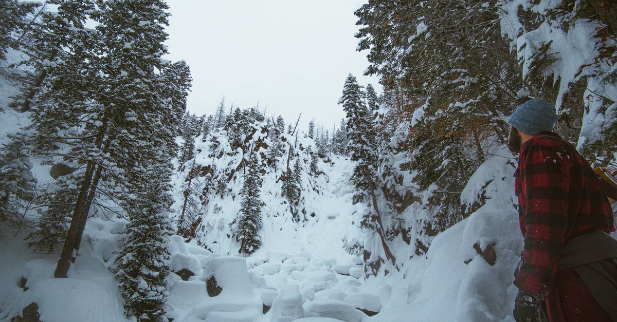 Does walking with a high level trainer give a higher chance to find rare pokemons? - Man Looking at Snow Covered Trees