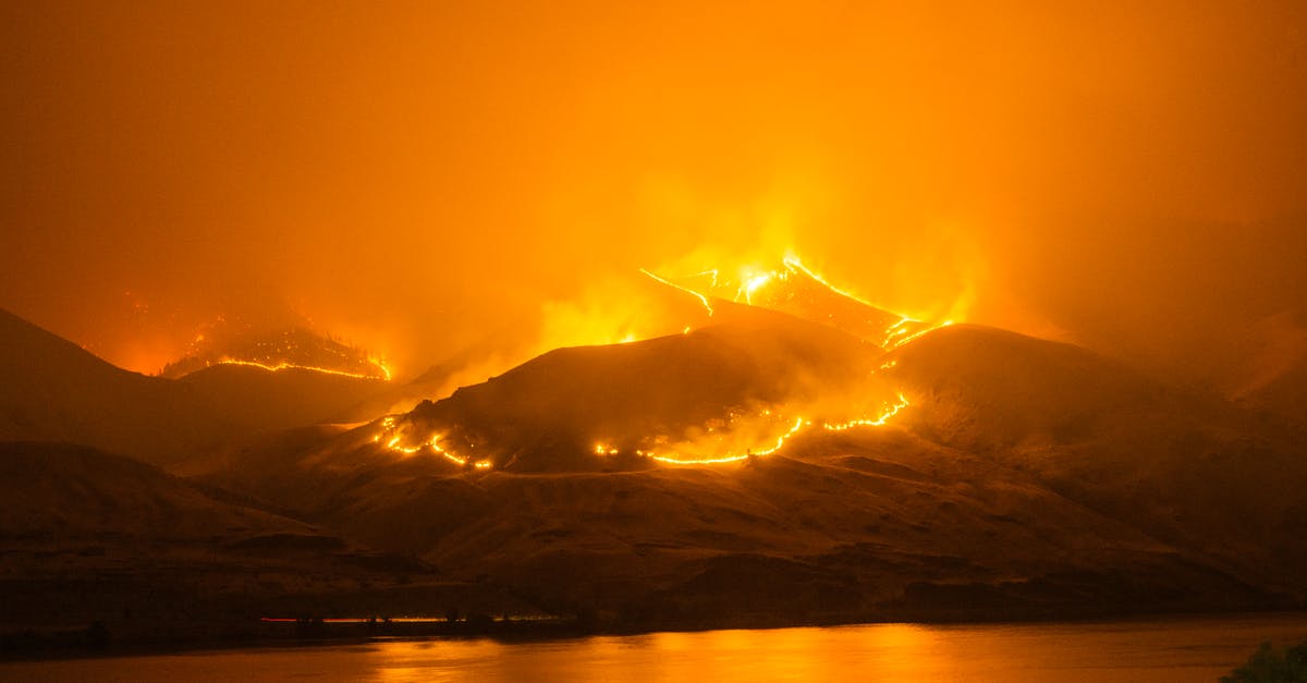 Does water in the environment affect the fire weapons of the Firebug or Husk? - wild fire on mountains