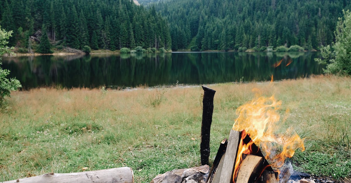 Does water in the environment affect the fire weapons of the Firebug or Husk? - Scenery view of bright fire on burning firewood on green meadow near pond and forest