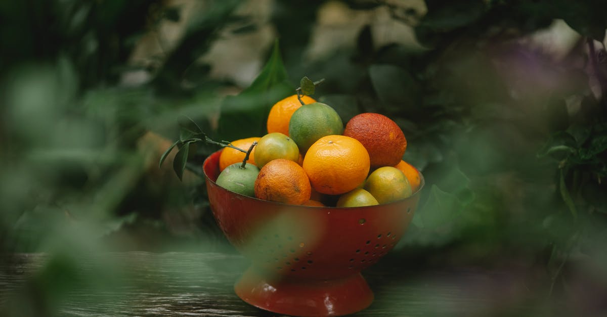 Does your advice to Clementine change season 2 at all? - View through blurred foliage of fresh ripe oranges and mandarins with other exotic fruits placed in red colander on wooden shelf