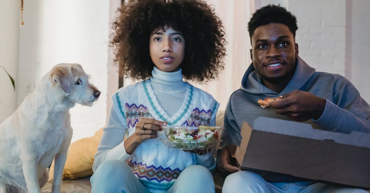 Dog Salad RNG Debunk - Concentrated young African American couple with curly hairs in casual outfits eating takeaway salad and pizza while watching TV sitting on sofa near cute purebred dog