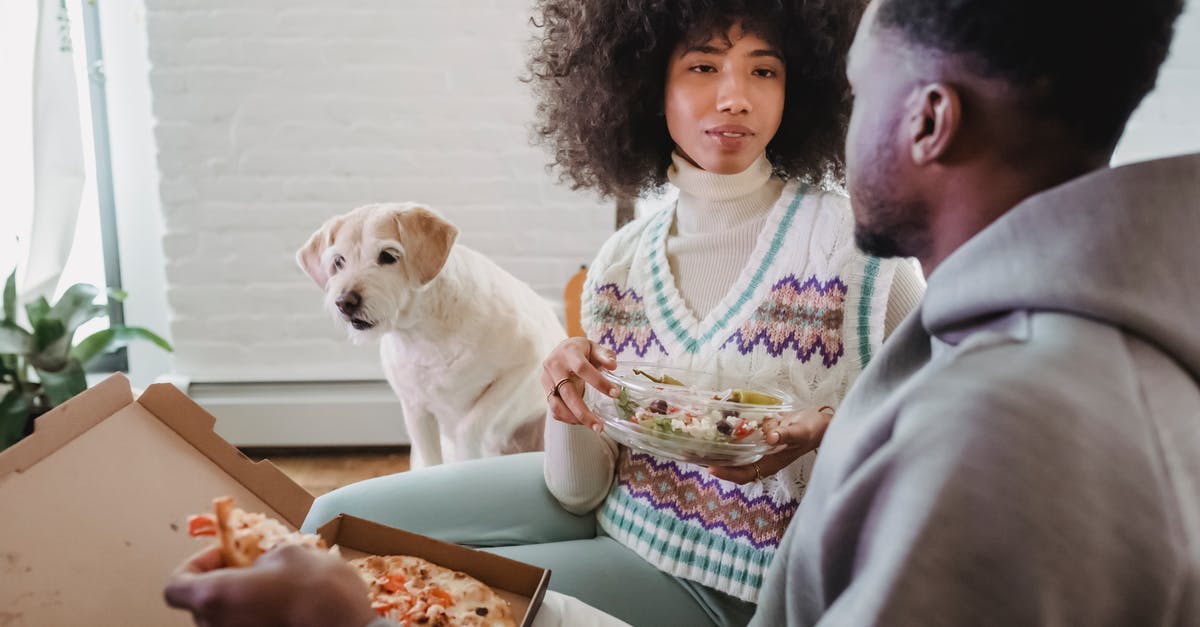 Dog Salad RNG Debunk - Crop African American couple speaking with each other while having snack with pizza and salad at home with hungry dog