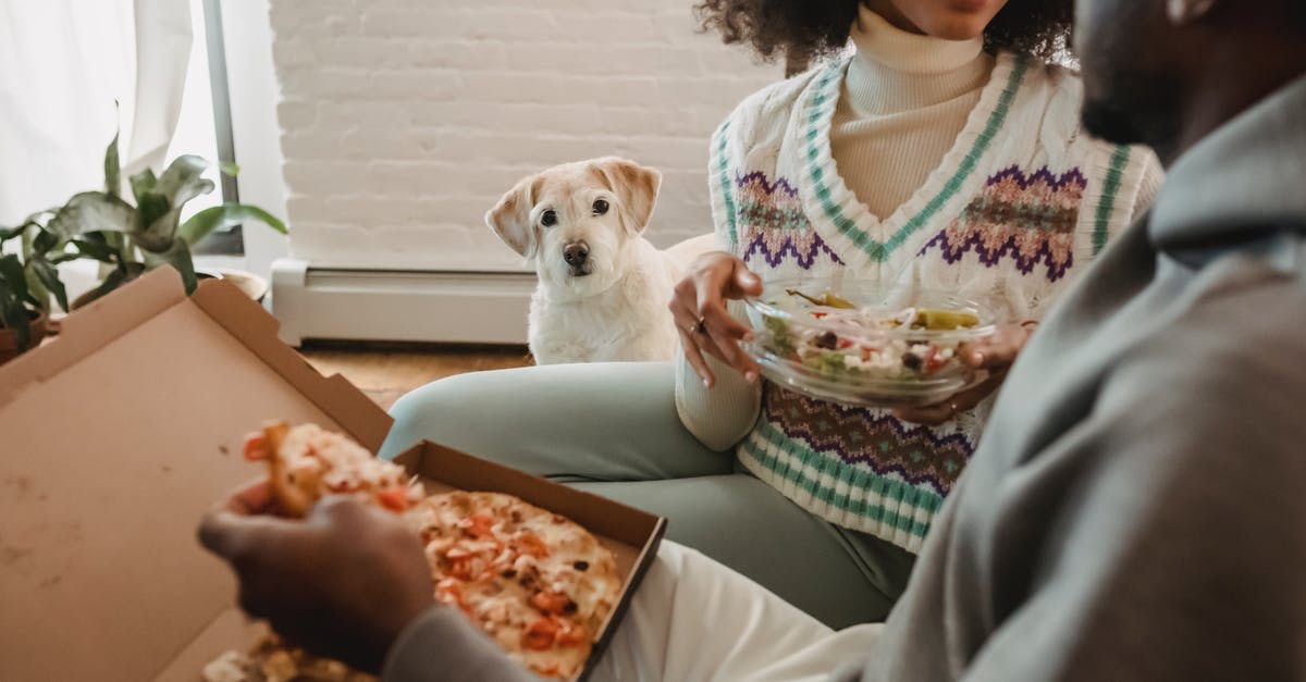 Dog Salad RNG Debunk - Crop anonymous happy African American couple enjoying delicious salad and pizza while funny cute dog watching