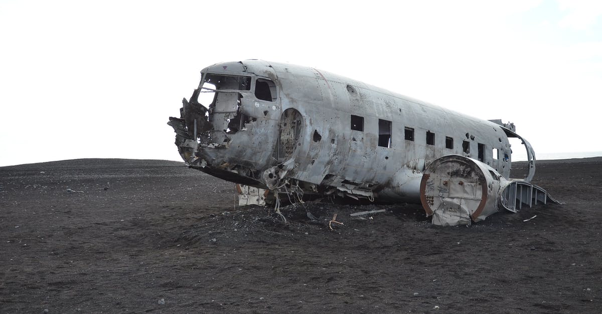 Don't Starve Will Crash Seconds After Launching - Gray Airplane on Seashore