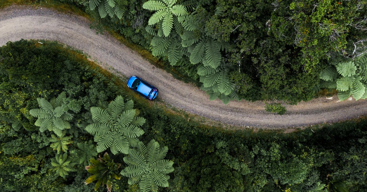 Donkey Kong Country: Tropical Freeze 6-5: Forest Folly - Drone view of winding pathway among green tropical plants with lush greenery growing in jungle