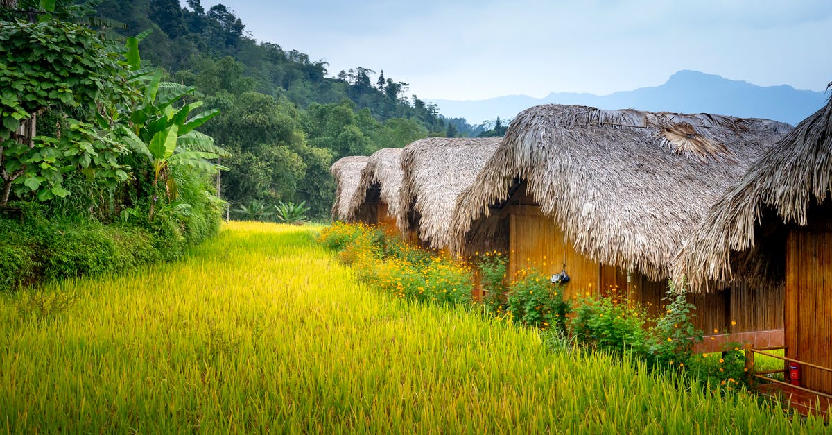 Donkey Kong Country: Tropical Freeze 6-5: Forest Folly - Small houses in settlement near grassy mountains and trees with palms in daylight under blue sky Donkey Kong Country: Tropical Freeze 6-5: Forest Folly - Small houses in settlement near grassy mountains and trees with palms in daylight under blue sky