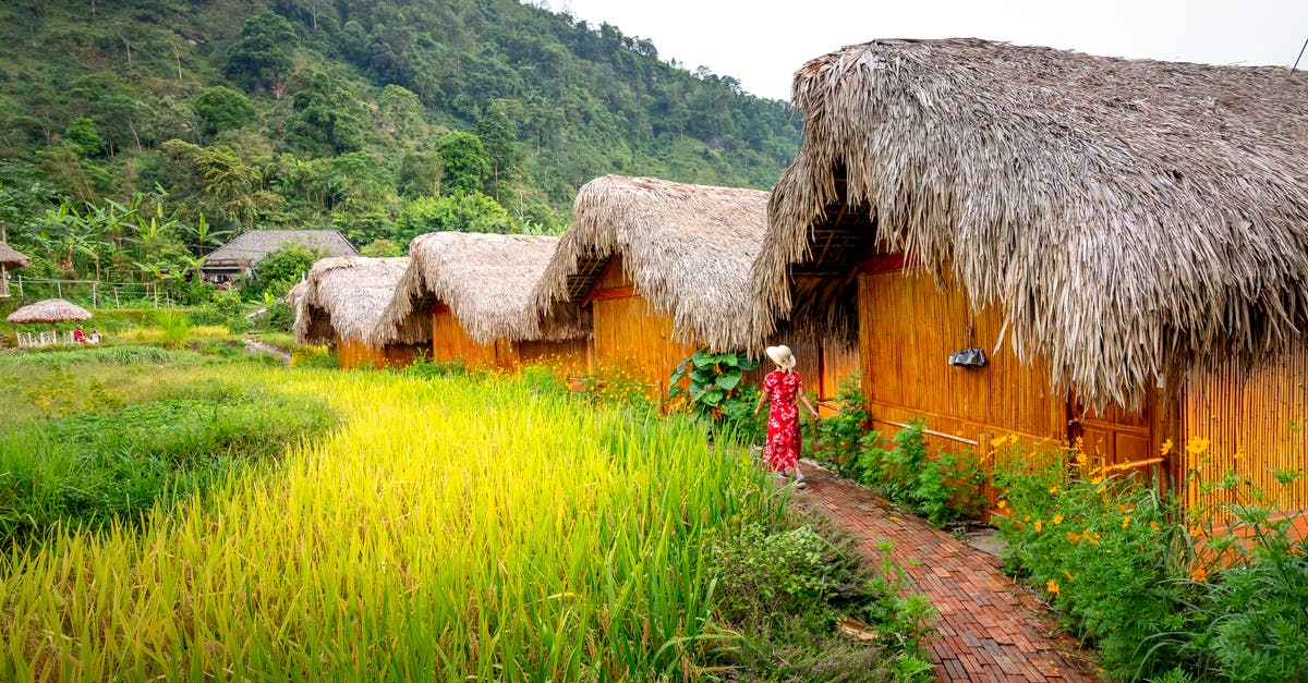 Donkey Kong Country: Tropical Freeze 6-5: Forest Folly - Anonymous female strolling in bungalow hotel near mountains Donkey Kong Country: Tropical Freeze 6-5: Forest Folly - Anonymous female strolling in bungalow hotel near mountains