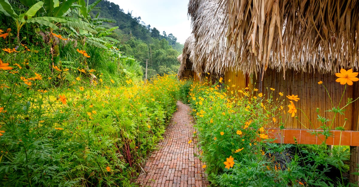 Donkey Kong Country: Tropical Freeze 6-5: Forest Folly - Bungalows near grassy hills in village Donkey Kong Country: Tropical Freeze 6-5: Forest Folly - Bungalows near grassy hills in village