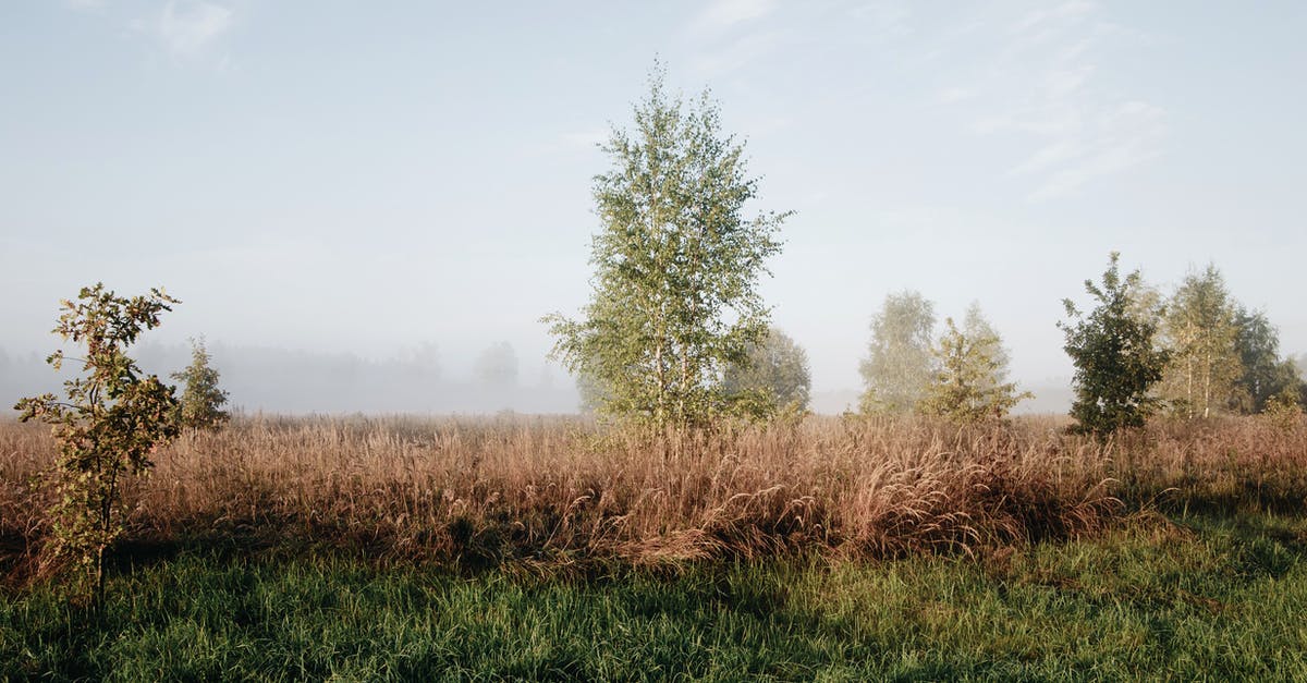 Doors affect villager mechanics in wheat farm? - Agricultural fields and trees in countryside