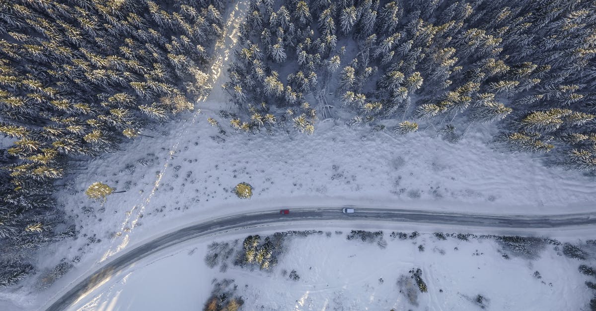 Downarrow above player's heads - Vehicles on Road Beside Pine Trees Aerial Photography Downarrow above player's heads - Vehicles on Road Beside Pine Trees Aerial Photography