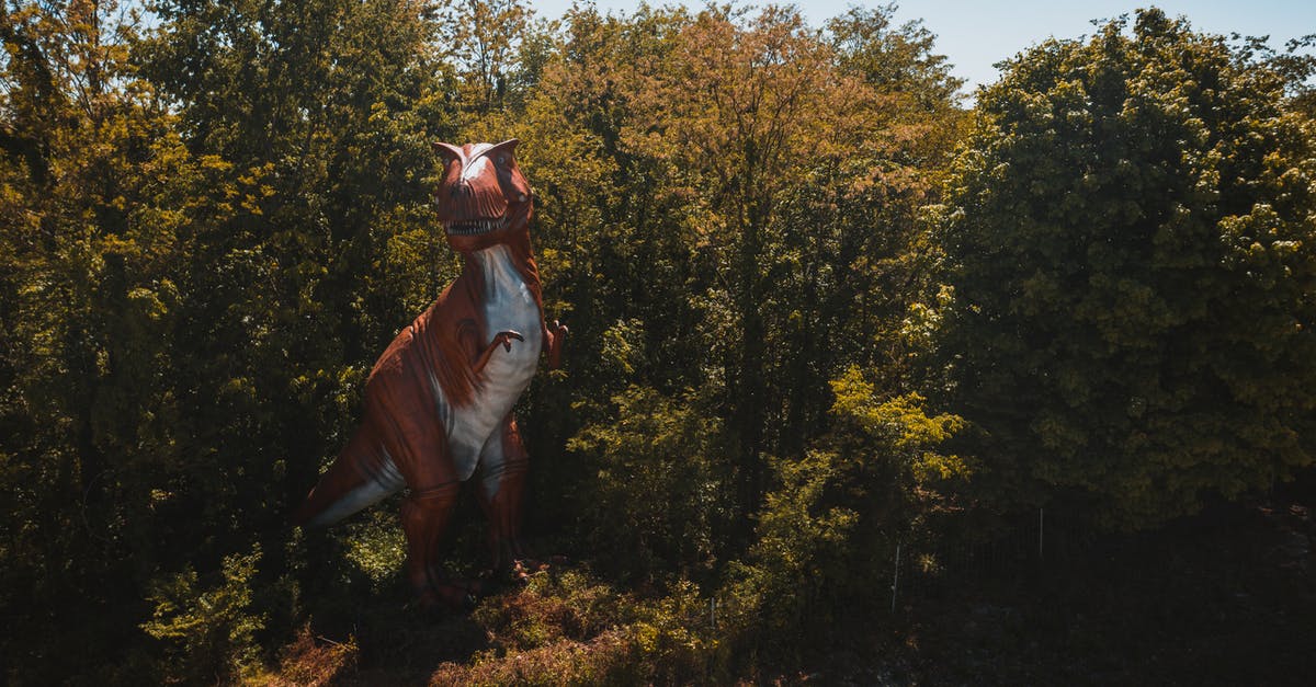 Dragon Quest Heroes (2015): Status effect and mitigation - From above of graceful dragon sculpture surrounded by trees under sky in fall