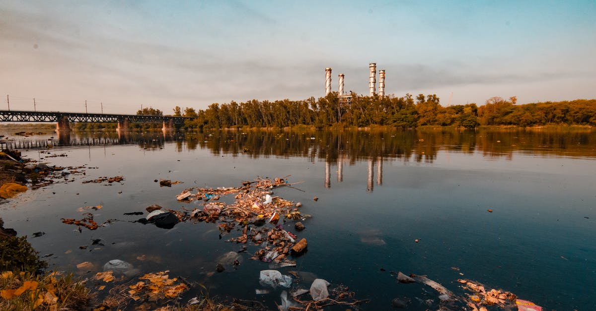 Dupes are not sweeping polluted dirt - Body Of Water