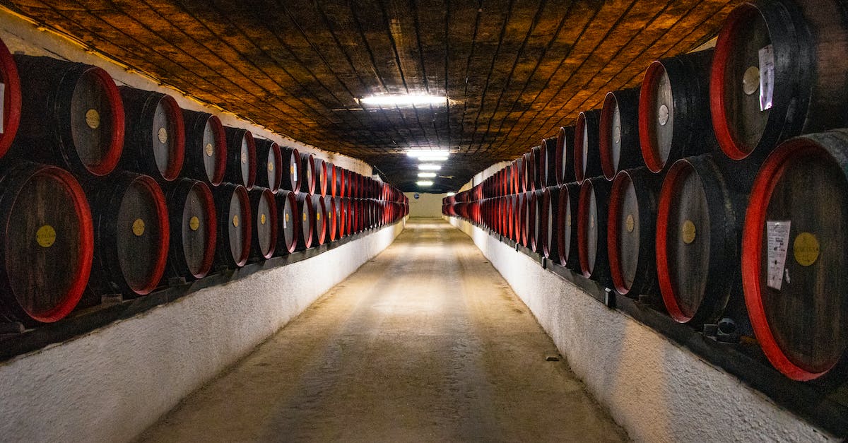 Dwarves moving food, but not barrels or alcohol, to stockpile - Black Barrel Lot in a Room Close-up Photography Dwarves moving food, but not barrels or alcohol, to stockpile - Black Barrel Lot in a Room Close-up Photography