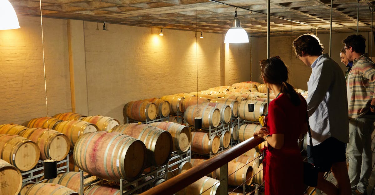 Dwarves moving food, but not barrels or alcohol, to stockpile - Photo of People in a Room with Barrels Dwarves moving food, but not barrels or alcohol, to stockpile - Photo of People in a Room with Barrels