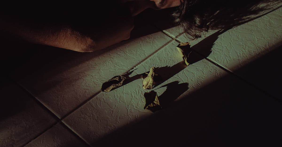 Dwarves sleeping on floor in dormitory - Person Sleeping Beside Dead Leaves Dwarves sleeping on floor in dormitory - Person Sleeping Beside Dead Leaves