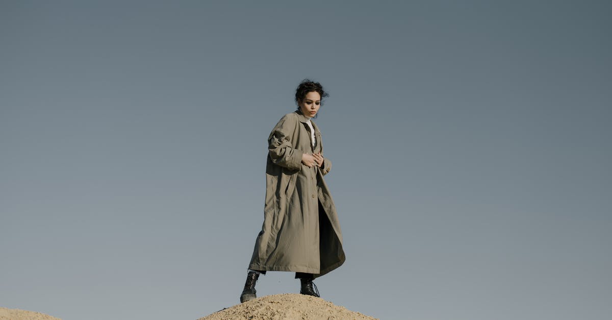 Dwellers return automatically after finding a low amount of items in Wasteland - Woman in Gray Coat Standing on Brown Rock