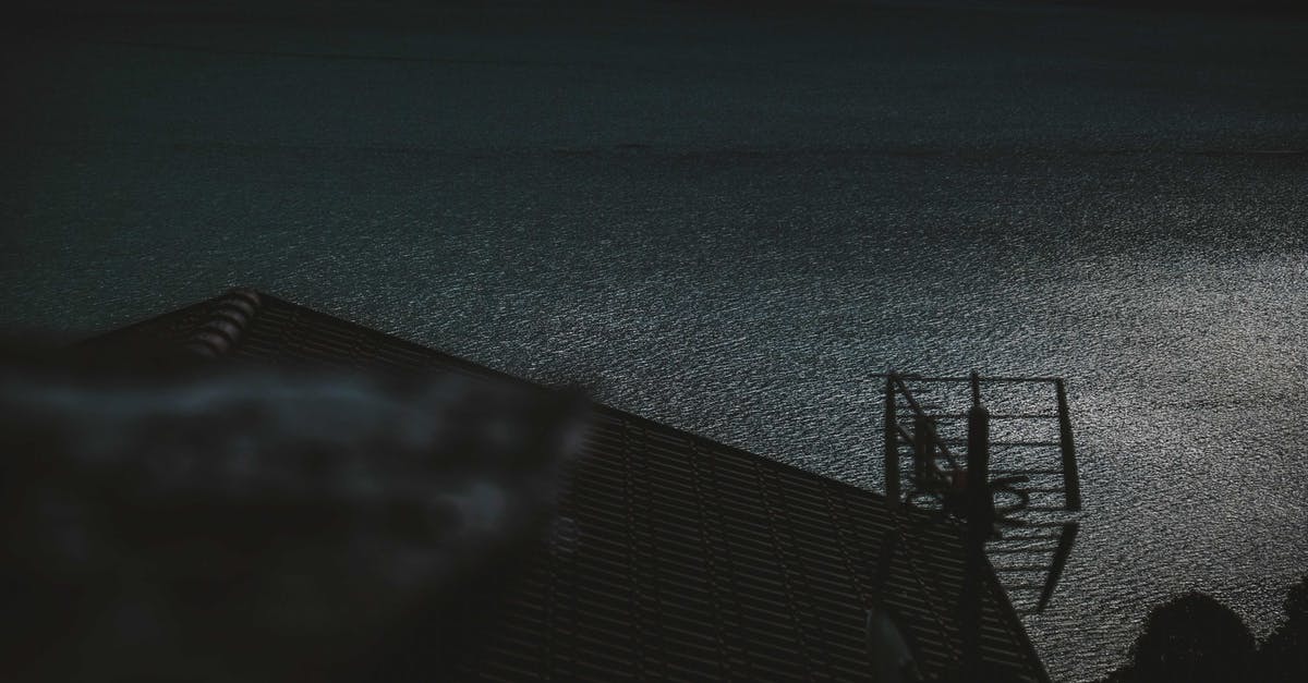Dying Light - Someone calling from atop an antenna during Pact with Rais - From above picturesque scenery of rippled lake surface in moonlight and tile roof of building with antenna at night