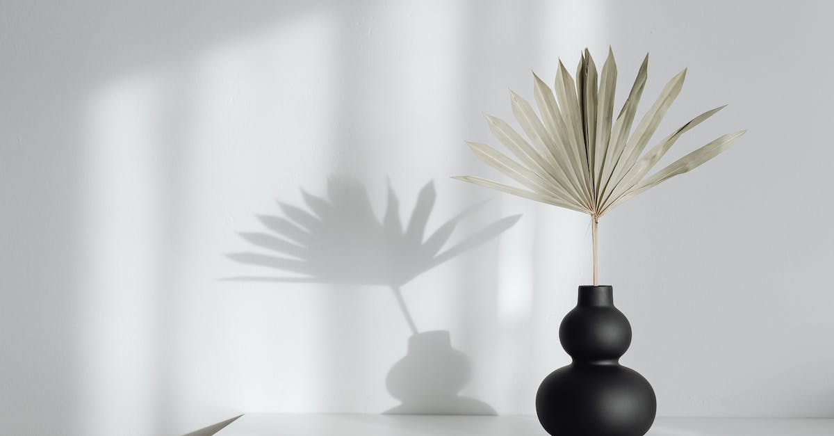 Dying Light Multiplayer Broke - Leaf in a Vase on a Table Dying Light Multiplayer Broke - Leaf in a Vase on a Table