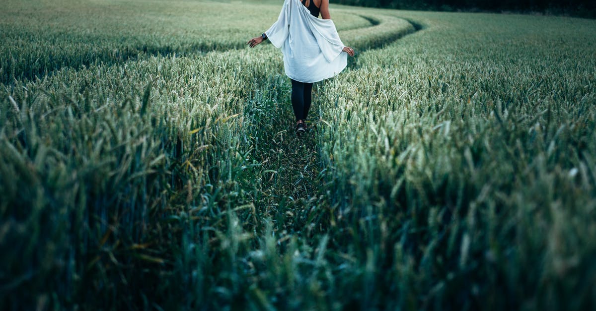 Effective Path Finding Mob Farm - Woman Walking in the Rice Plant Field during Daytime