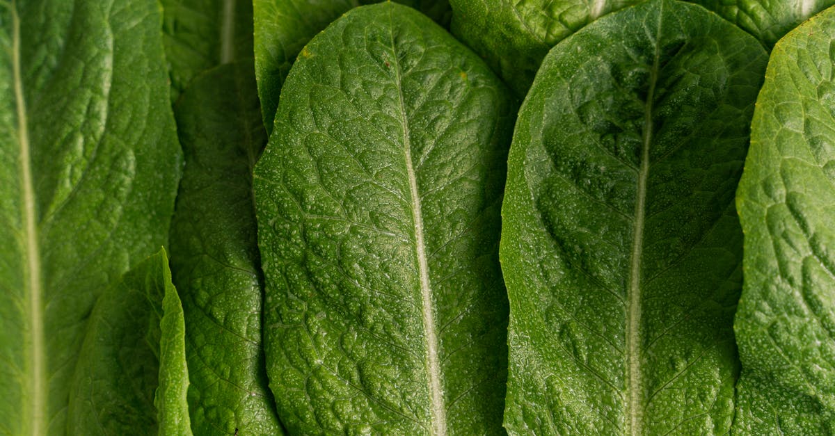 Egg drop chance - Green Leaf Plant in Close Up Photography