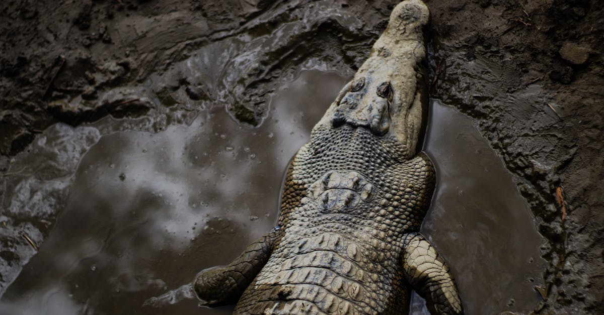 Elite: Dangerous launcher fails to start - Brown Crocodile on Water Elite: Dangerous launcher fails to start - Brown Crocodile on Water