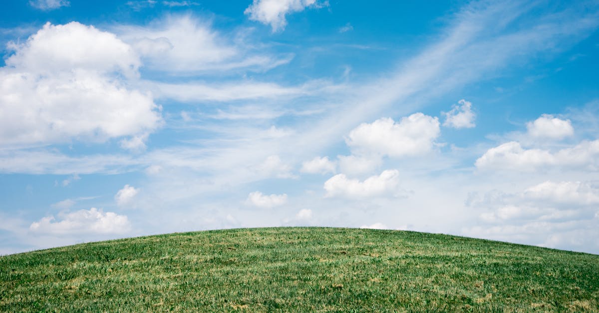 Empire earth 2 crashes for windows 8.1 - Green Grass Field Under White Clouds Empire earth 2 crashes for windows 8.1 - Green Grass Field Under White Clouds