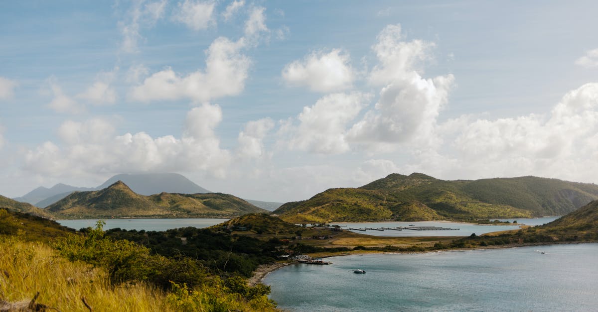 Employees randomly drown themselves in nearby lake - Green Grass Field Near Body of Water Under White Clouds and Blue Sky Employees randomly drown themselves in nearby lake - Green Grass Field Near Body of Water Under White Clouds and Blue Sky