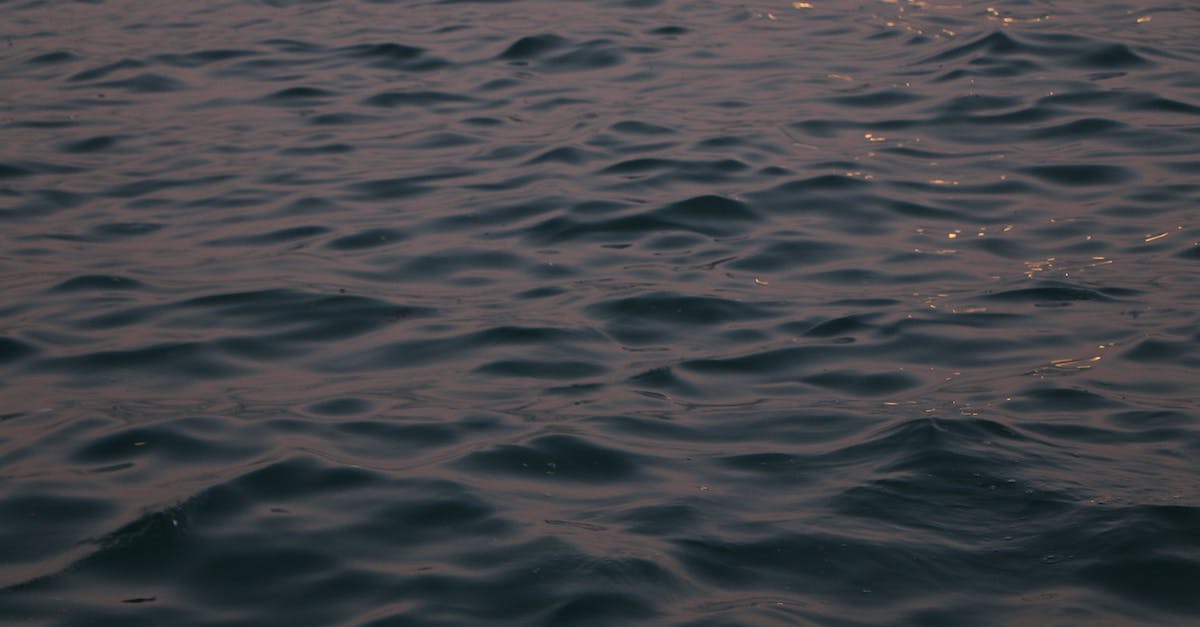 Emulated version of Twilight Princess has a strange water texture in Dolphin 4.0 - From above of dark blue rippling sea with ripples on surface in evening Emulated version of Twilight Princess has a strange water texture in Dolphin 4.0 - From above of dark blue rippling sea with ripples on surface in evening