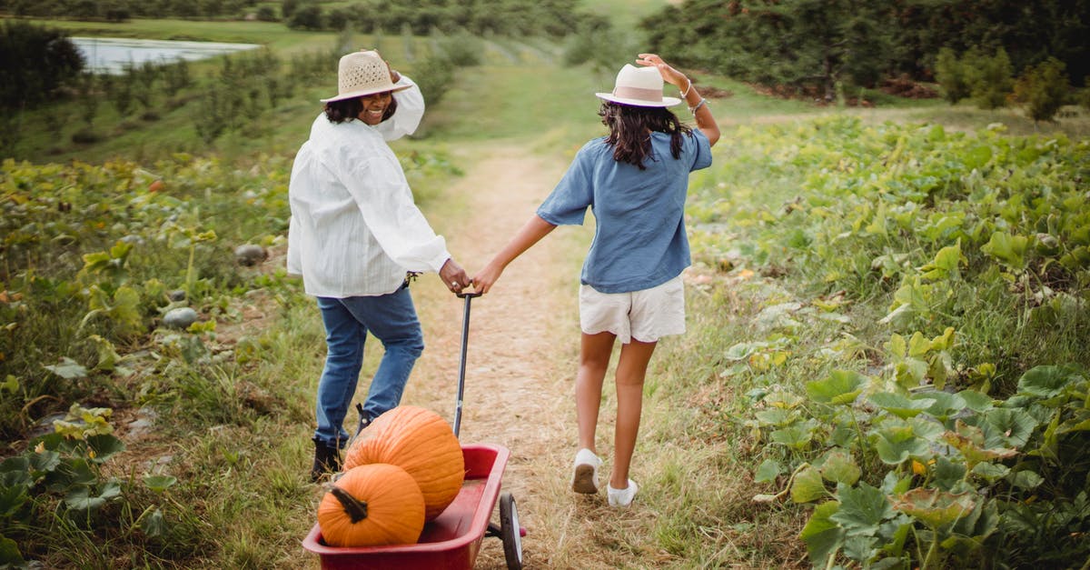 Enabling simultaneous turns in Heroes of Might and Magic 3 Complete + HD+ patch over TCP/IP - Happy woman with daughter in pumpkin field Enabling simultaneous turns in Heroes of Might and Magic 3 Complete + HD+ patch over TCP/IP - Happy woman with daughter in pumpkin field