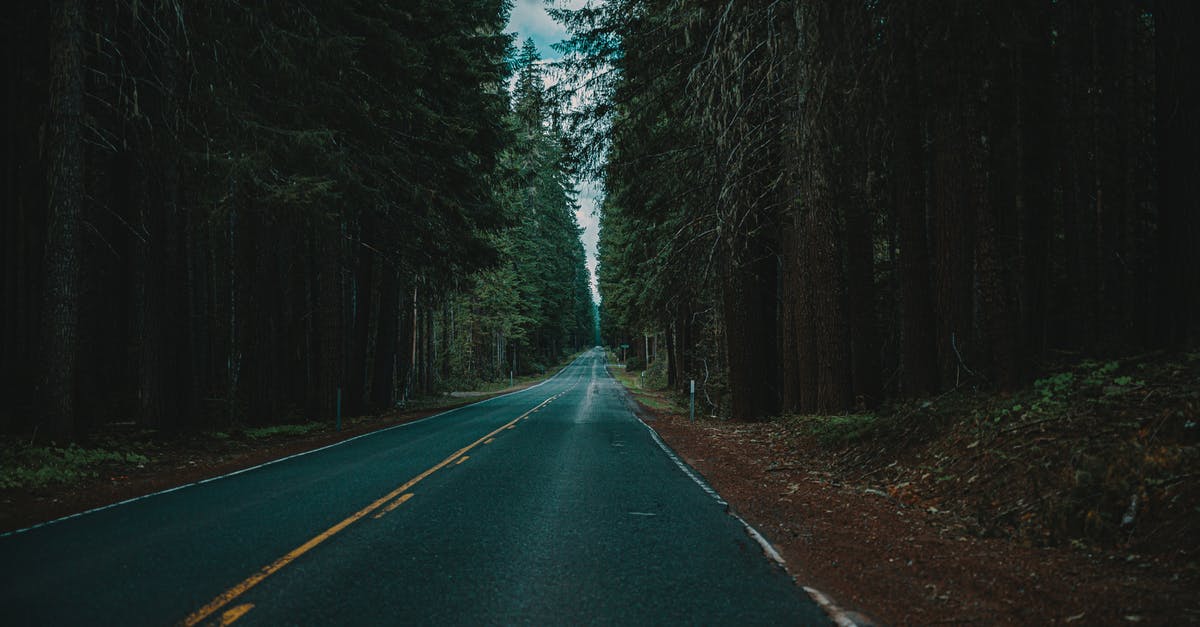 Endless Far Cry 2 Malaria Symptoms - Trees Beside Road Endless Far Cry 2 Malaria Symptoms - Trees Beside Road