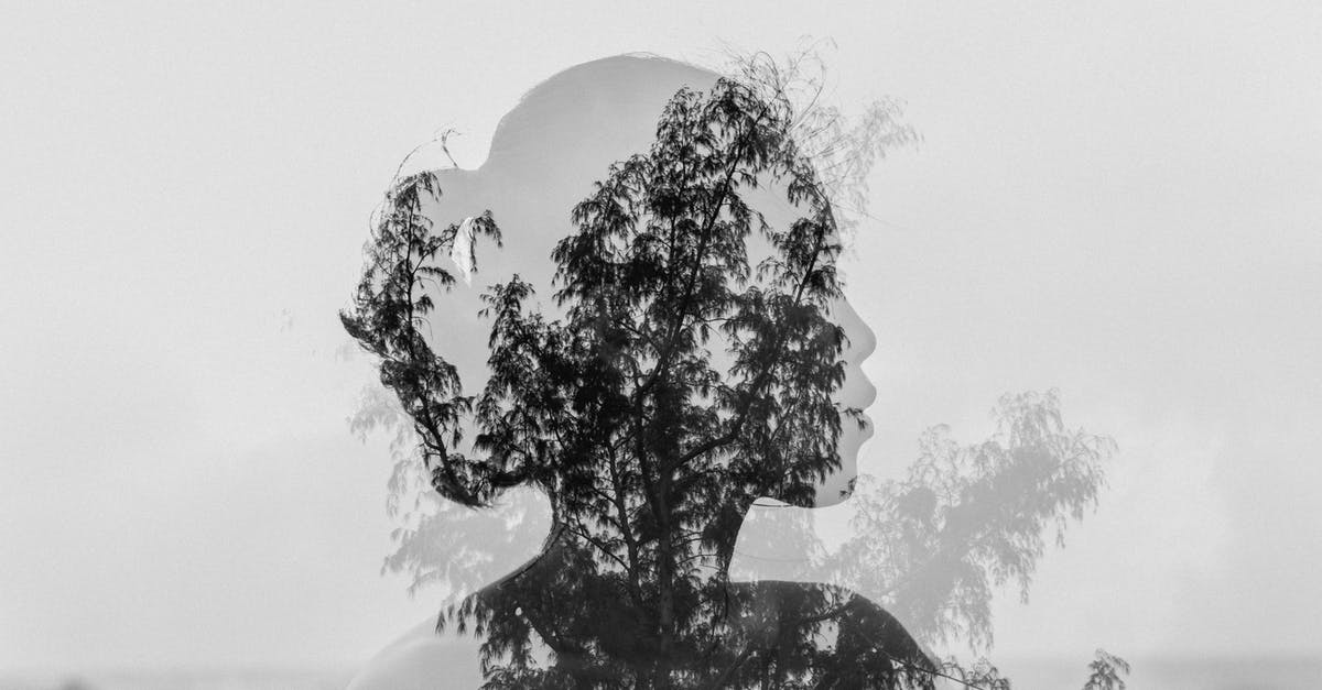 endless legend no watchtowers - Silhouette of Asian woman behind tree branch near endless ocean endless legend no watchtowers - Silhouette of Asian woman behind tree branch near endless ocean