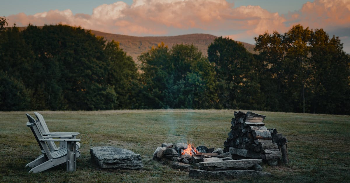 Endless logging in - Fire with stones and chairs near logs on meadow Endless logging in - Fire with stones and chairs near logs on meadow