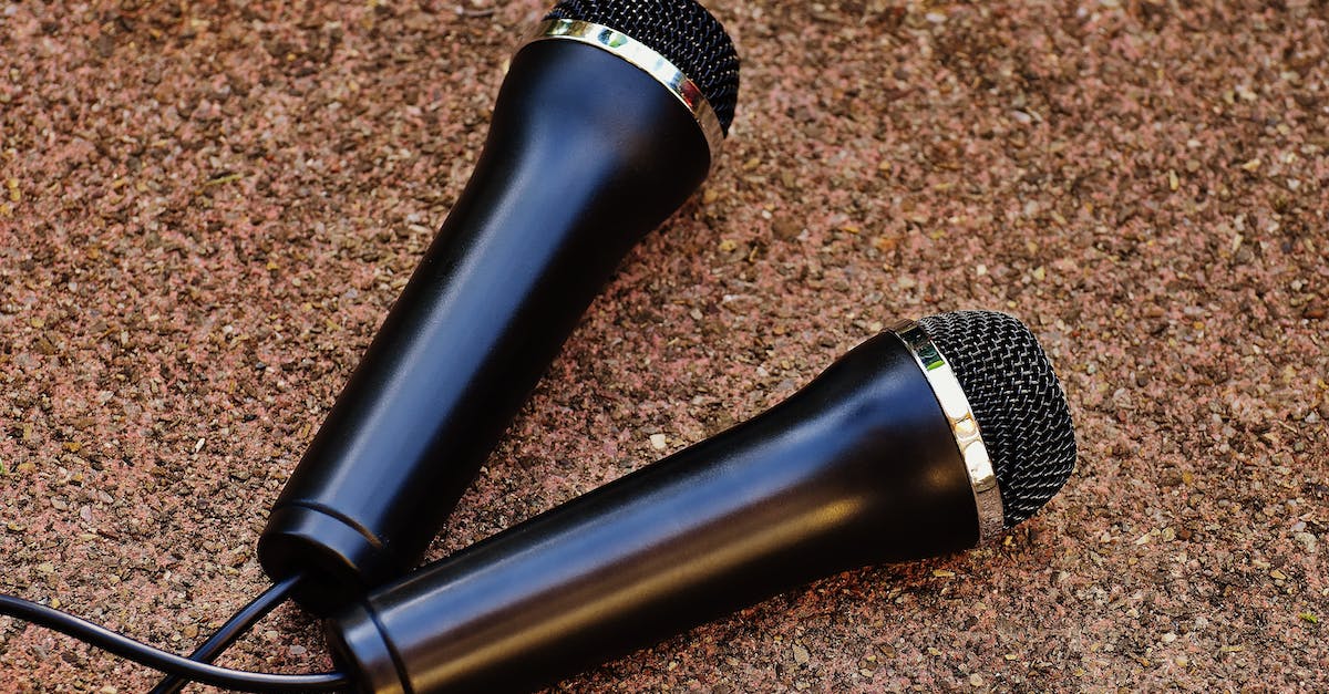 Enemies have zero hp and still live - Two Black Dynamic Microphones