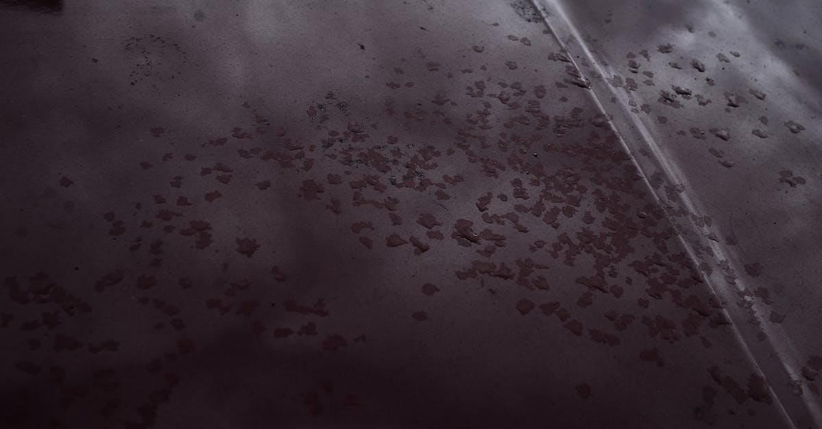 Engram drop rate increase after House of Wolves patch? - Roof of building with raindrops in overcast day Engram drop rate increase after House of Wolves patch? - Roof of building with raindrops in overcast day