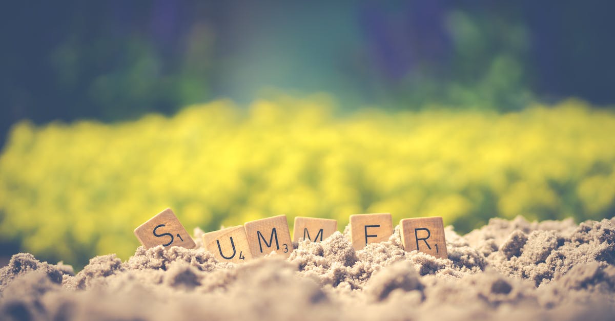 Entities Have Visible Text When On Ground (Minecraft 1.9) - Summer Letter Cube on Soil