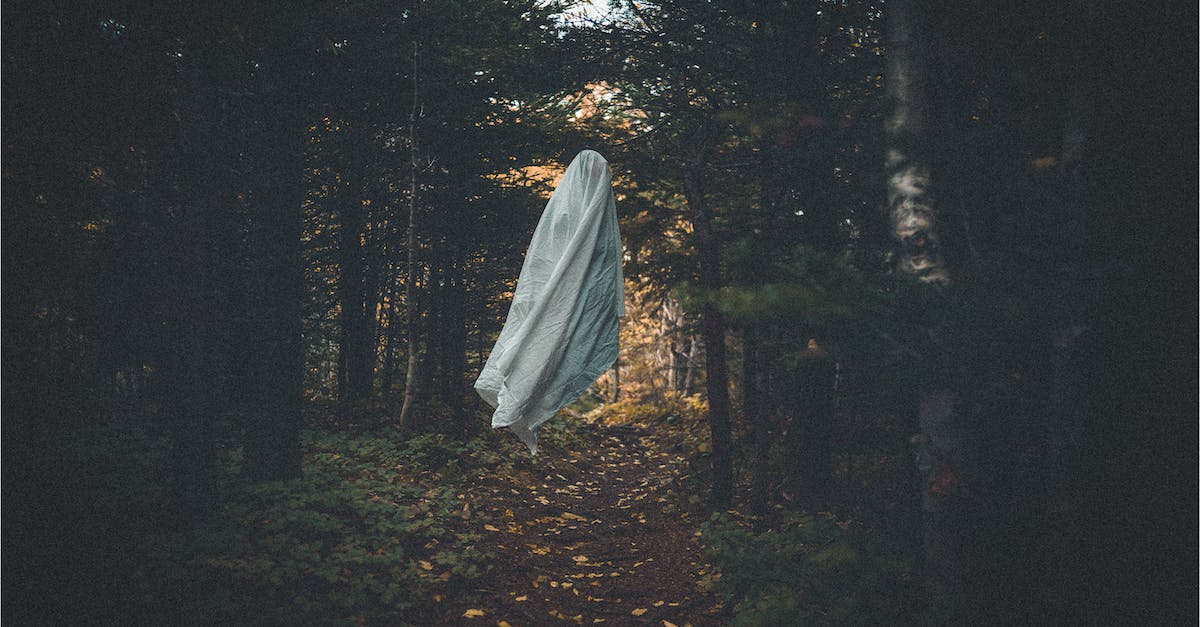 Equipping magic find gear immediately before elite death - Scary ghost in dark grove with coniferous trees