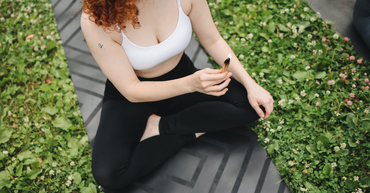 Everything, including me, is burning. How am I supposed to survive? - Free stock photo of fashion, flora, flower Everything, including me, is burning. How am I supposed to survive? - Free stock photo of fashion, flora, flower