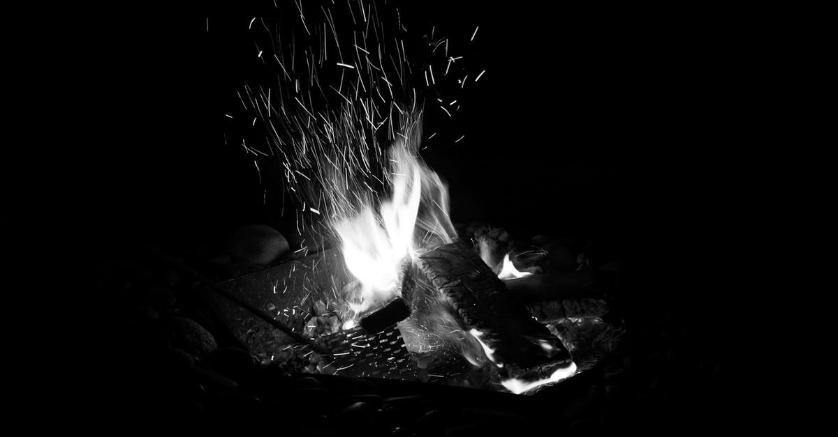 Everything, including me, is burning. How am I supposed to survive? - Camping Fire during Nighttime Everything, including me, is burning. How am I supposed to survive? - Camping Fire during Nighttime