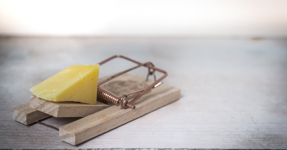 Exterminate the Death Claws in Original Fallout - Brown Wooden Mouse Trap With Cheese Bait on Top